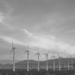 A group of wind turbines