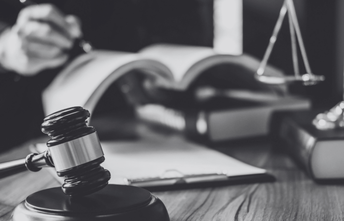The EU AI Act 2024